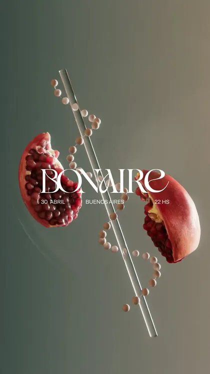 Bonaire Vol. XV (Asamblea Hedonista) — 30 abr 2026